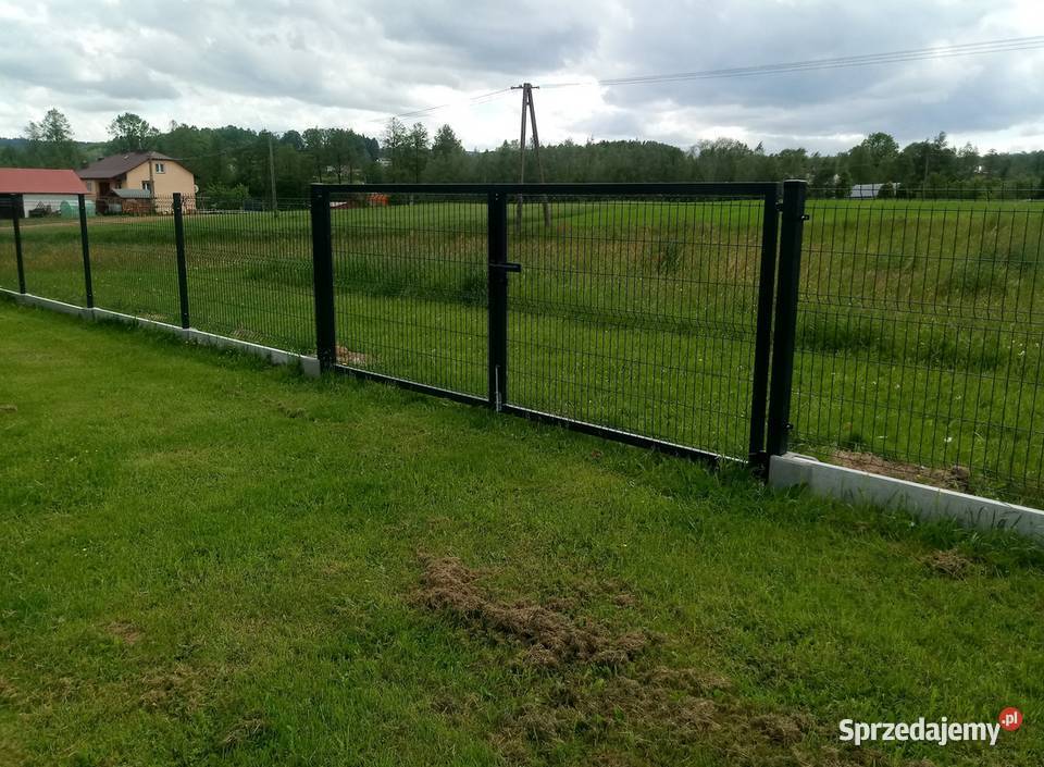 Panel ogrodzeniowy 153x250 fi4m ocynk kolor Dom i Ogród Gorlice