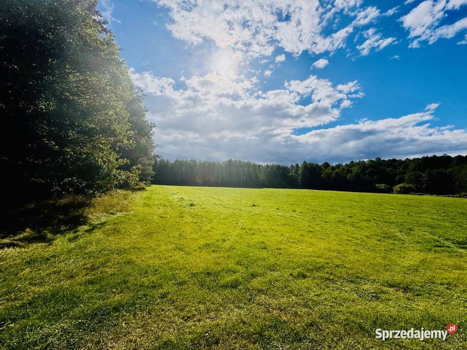 Wyjątkowa działka 242 ha wśród zieleni Cisza Drygały