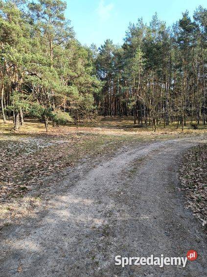 Syndyk sprzeda udział 25 w nieruchomości w Woli Usługi