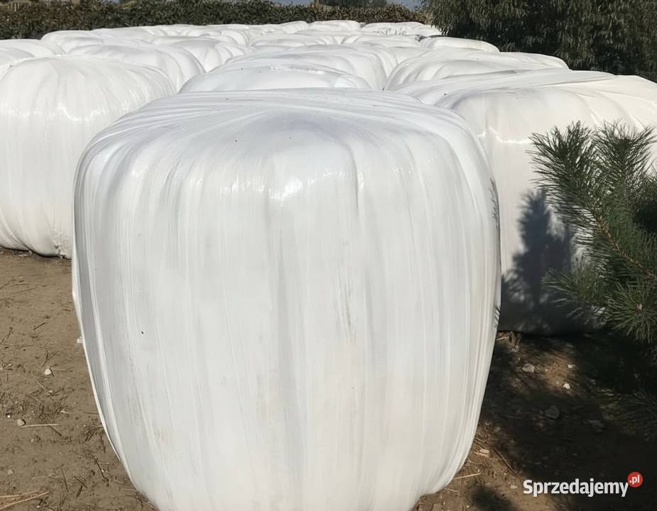 Sianokiszonka kiszonka bele Trawy, słoma Wartkowice