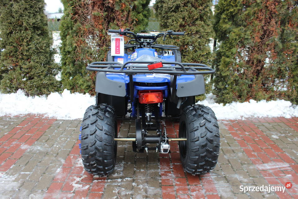 Quad 125 150 cc 4t Hammer benzyna KXD duża rama Rok produkcji 2020 Goleniów
