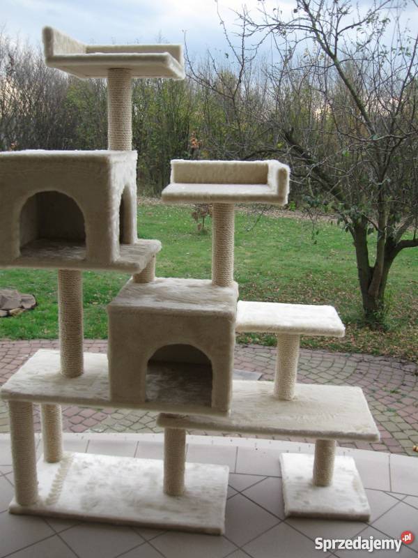 drapak kota Q012 Lublin