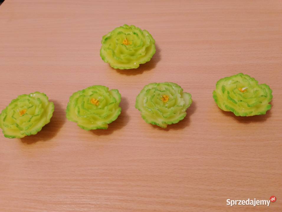 ŚWIECE pływające 5 sztuk zielone kwiatki wielkopolskie Złotniki