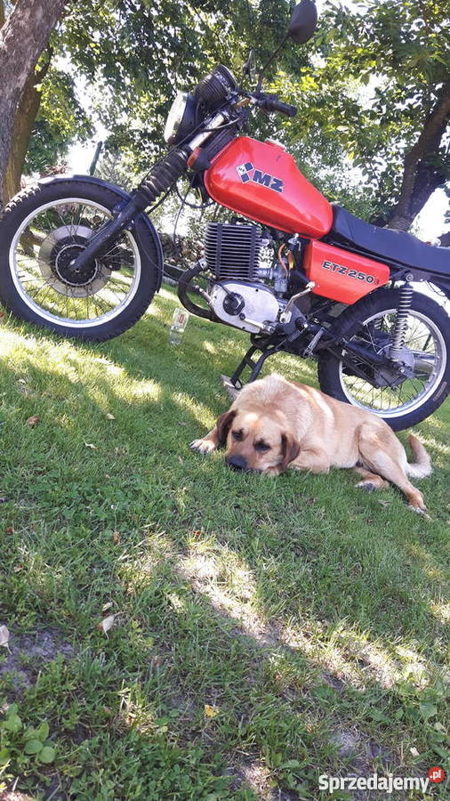 Mz etz 250 Lublin
