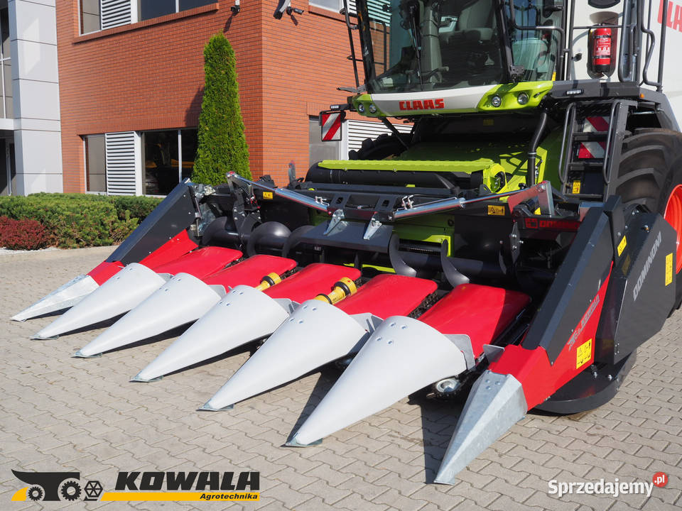Dominoni SL 976 BG KAIMAN Przystawka do wielkopolskie Stęszew