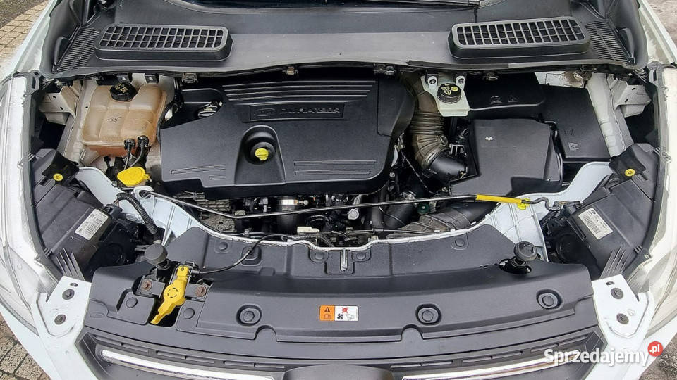 Ford Kuga Climatronic 150 GWARANCJA Zakup Door SUV Płońsk