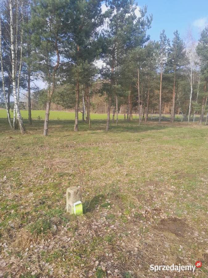 Sprzedam dzialke z gotowymi warunkami utwardzona Skierniewice