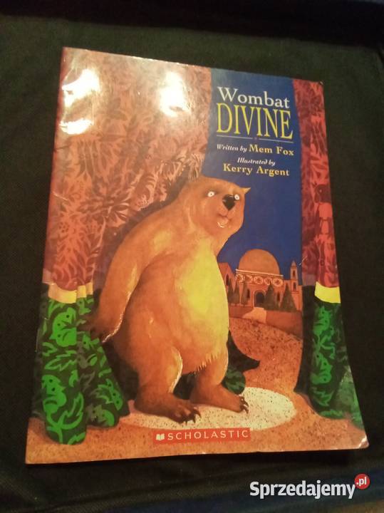 Wombat divine angielsku miękka Warszawa