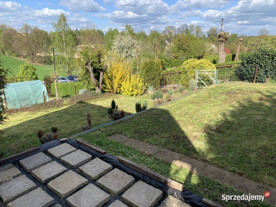 Sprzedam działkę ROD Irys 3000m2 Jastrzębie-Zdrój