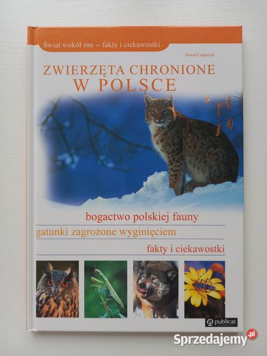 Edukacja Przyroda Zwierzęta chronione w Polsce