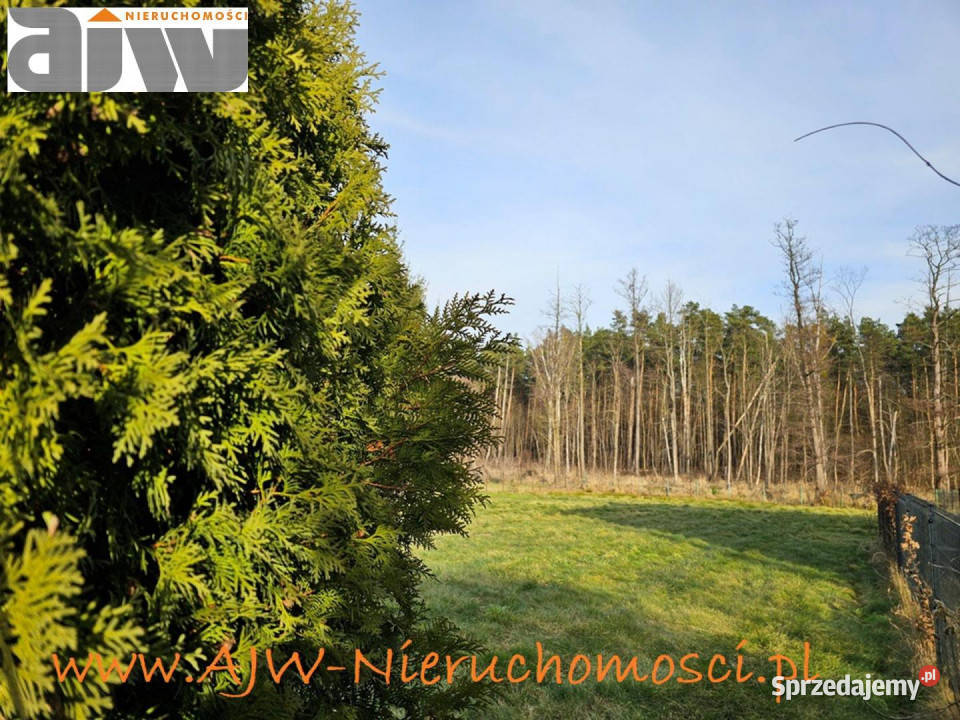 Grunt 1320 metrów Koczargi Stare gmina Stare Sprzedaż