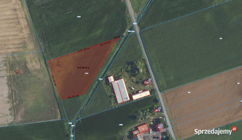 Teren lotnisku CPK Nowy Oryszew