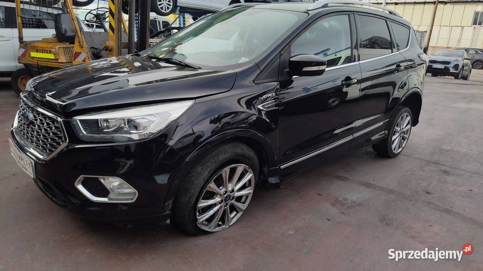 kuga vignale Poddębice