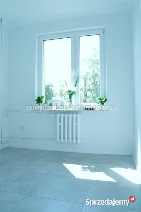 Mieszkanie 332m2 1 pokój Hrubieszów