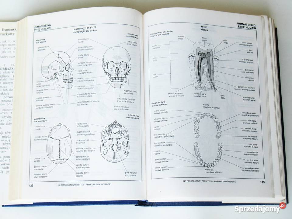 Angielski i Francuski słownik obrazkowy encyklopedie, słowniki, leksykony Kraków sprzedam