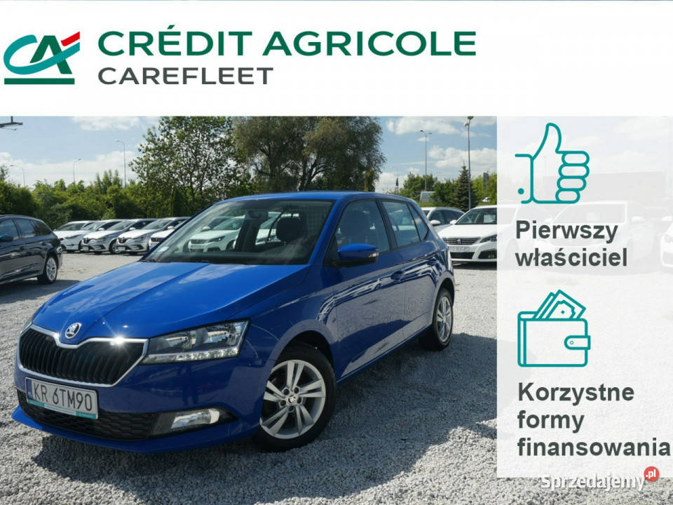 Skoda Fabia 10 TSI95 Ambition Fabia VAN Salon Poznań sprzedam