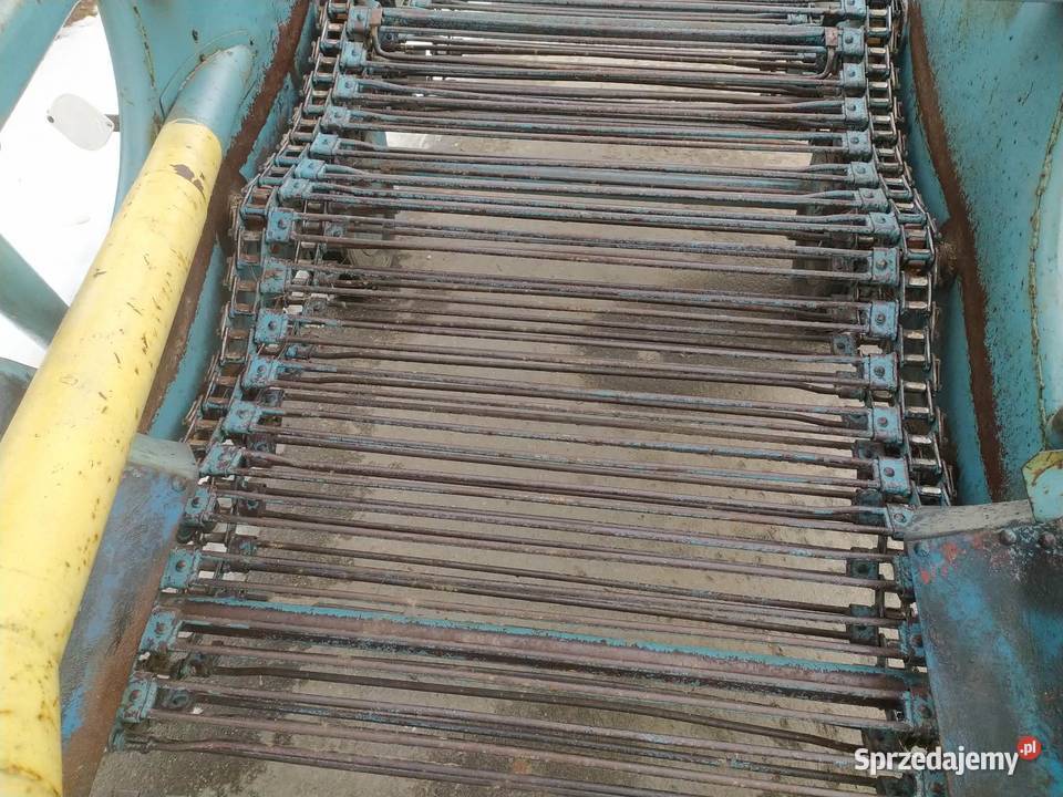 Kopaczka do ziemniaków Elewatorowa 2rzędowa nieuszkodzony Kopaczki Dąbrowa Tarnowska sprzedam