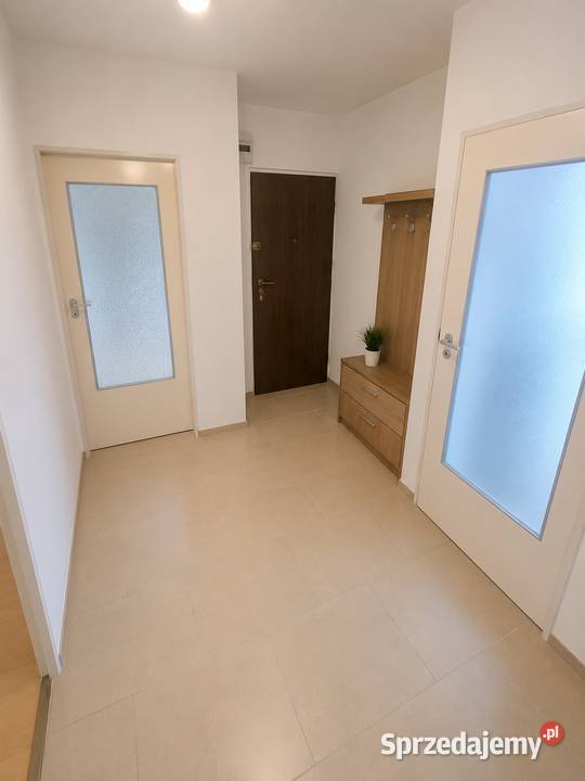 Pałucka rozkładowe 3 pokoje Ip z balkonem Wrocław