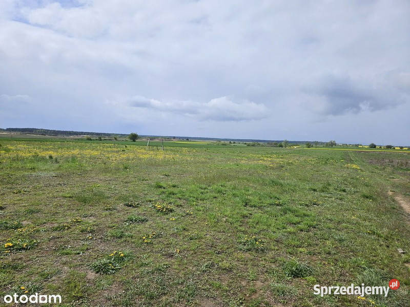Moryń Buduj dom tam gdzie inni płacą urlop sprzedam