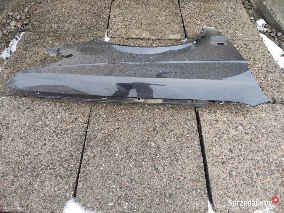 Blotniki Saab 93 małopolskie