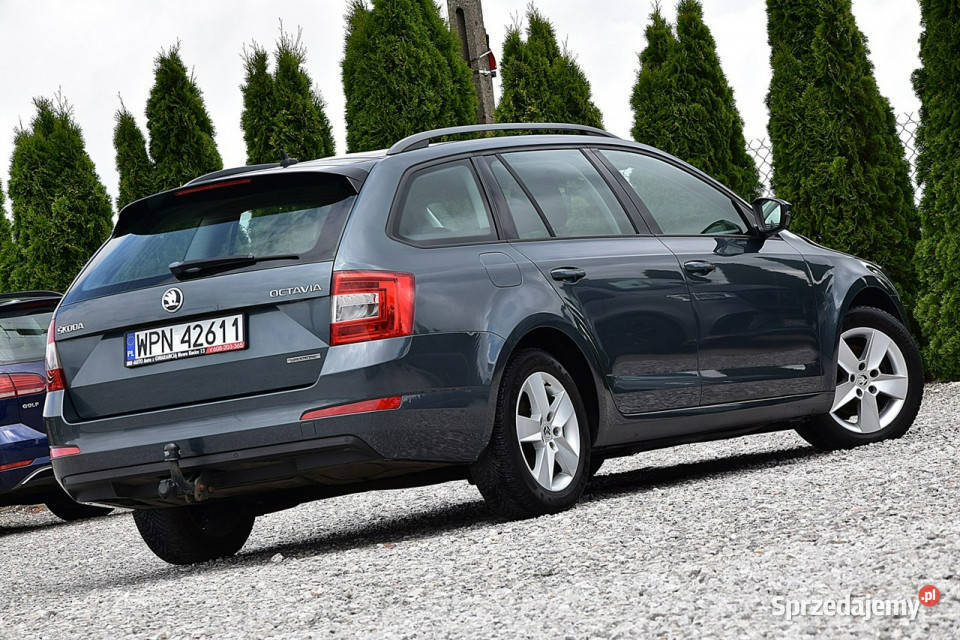 koda Octavia 16Tdi 110 Navi Alu Gwarancja III 4/5 mazowieckie Nowe Kucice