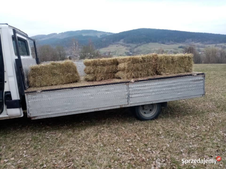 Siano świeże małopolskie Kasina Wielka sprzedam