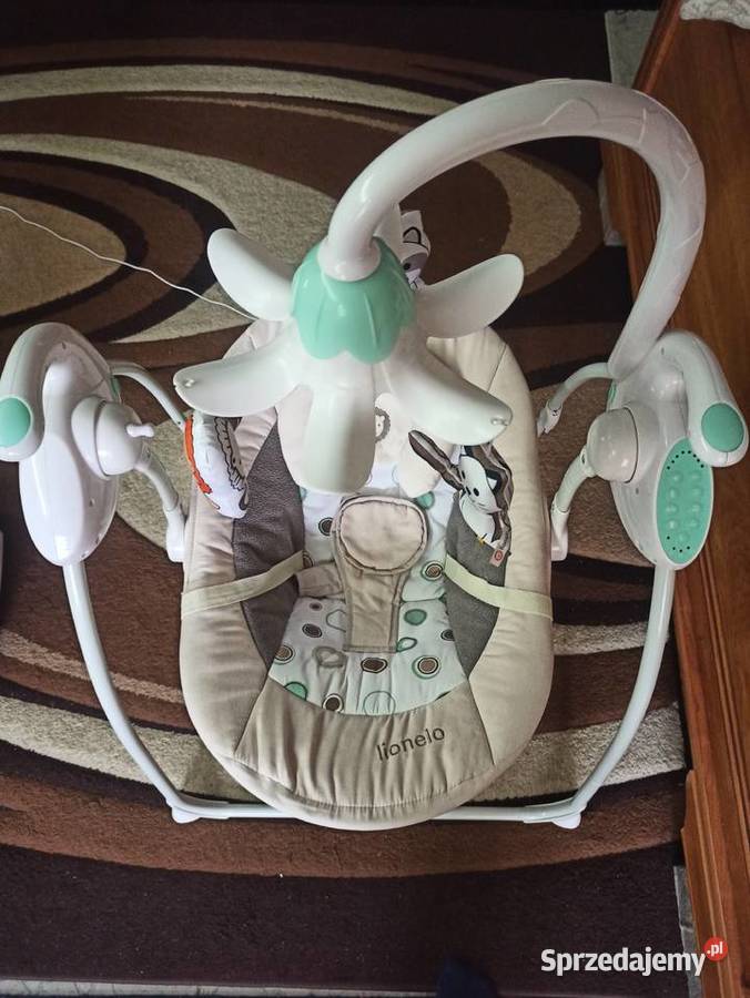 bujaczek Lionelo Robin Warszawa