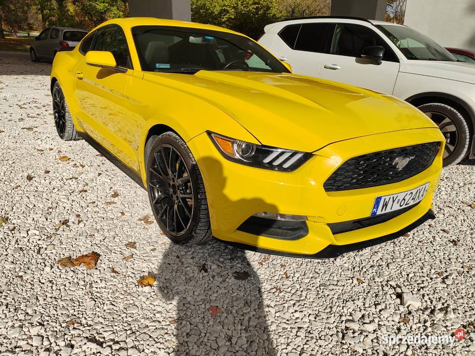 Ford mustang 37 Warszawa