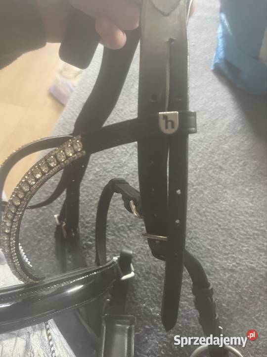 Oglowie horze Stargard