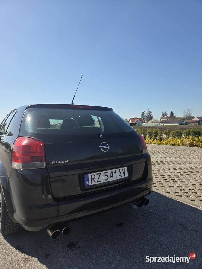 Opel signum 2008 polift Rok produkcji 2008 podkarpackie Jarosław