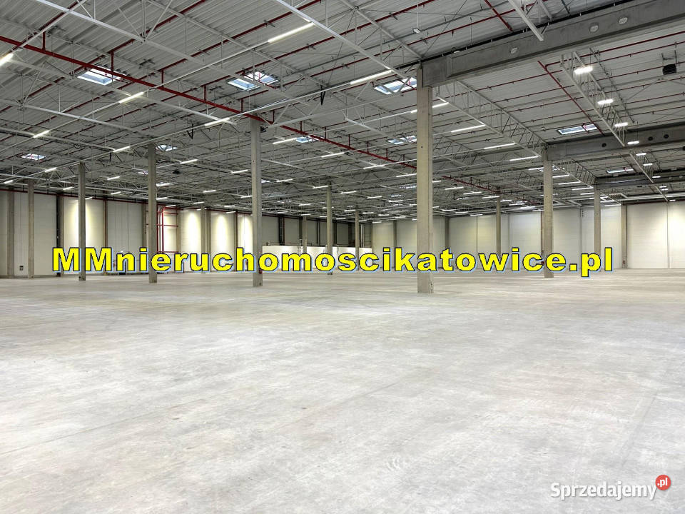 Halae do wynajęcia Katowice A4 śląskie sprzedam