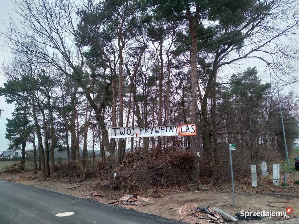 Działka 3700 metrów w pięknym historycznym Sprzedaż Szeligi