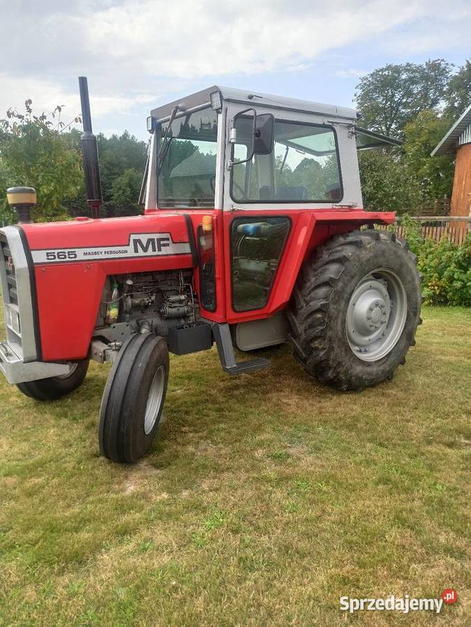 Massey ferguson 565 Ruda Różaniecka