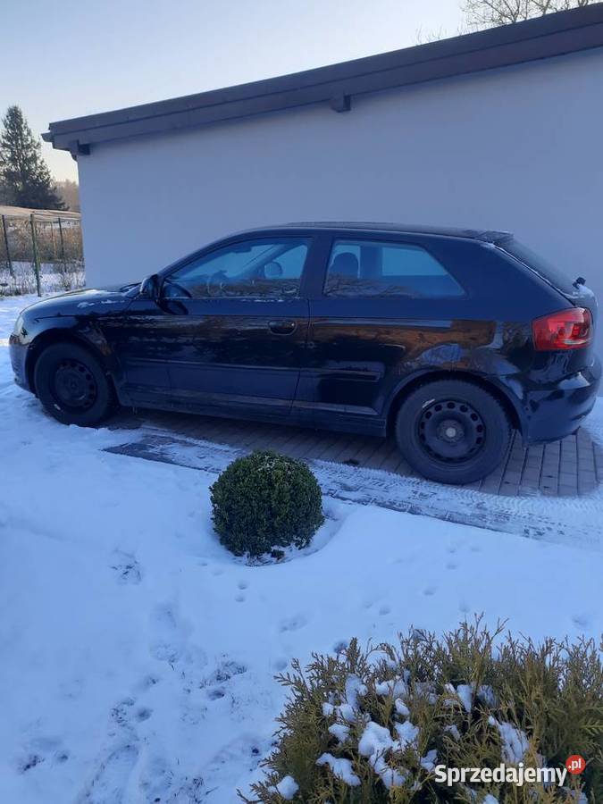 Audi a3 8p 16 mpi 2008r A3 Audi Upadły sprzedam