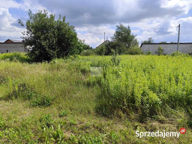 sprzedaży gruntu 992m2 Ciemne 390000zł/m2 sprzedam
