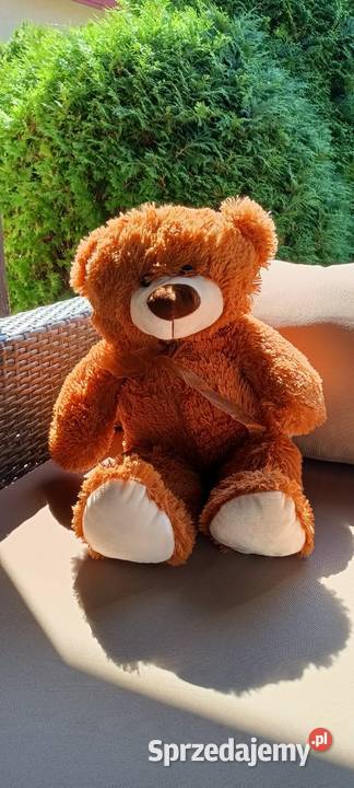 Maskotka miś Mirimoo Maskotki Włocławek