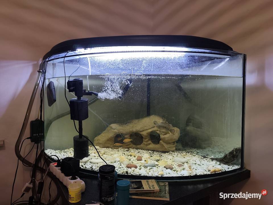 Akwarium samo szkło 300 l narożne mazowieckie Warszawa