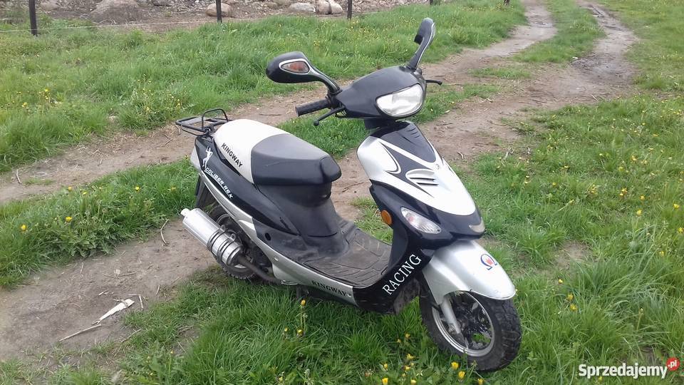 Kingway coliber rex sprzedam