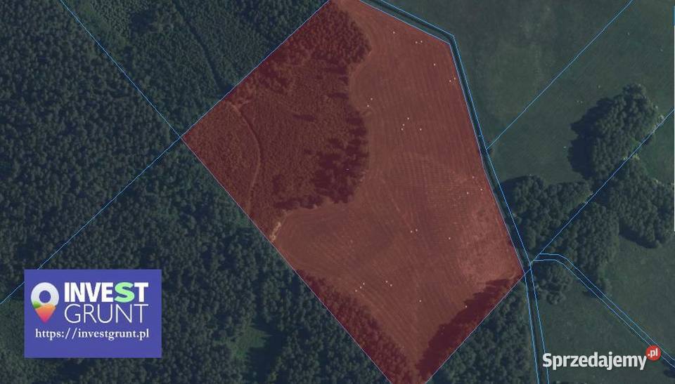 645 ha przetarg na dzierżawę gruntów rolnych Rudziska