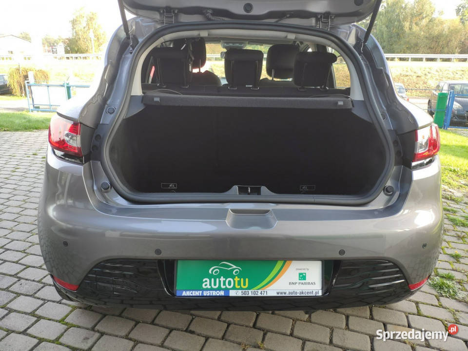 Renault Clio Oryginalny lakier pełny serwis w Ustroń