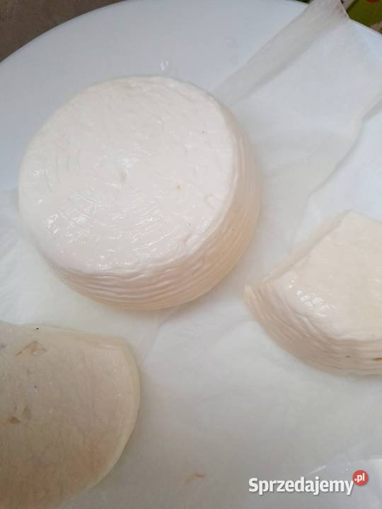 Pyszne mleko kremowe krowy Jersey śląskie Rybnik