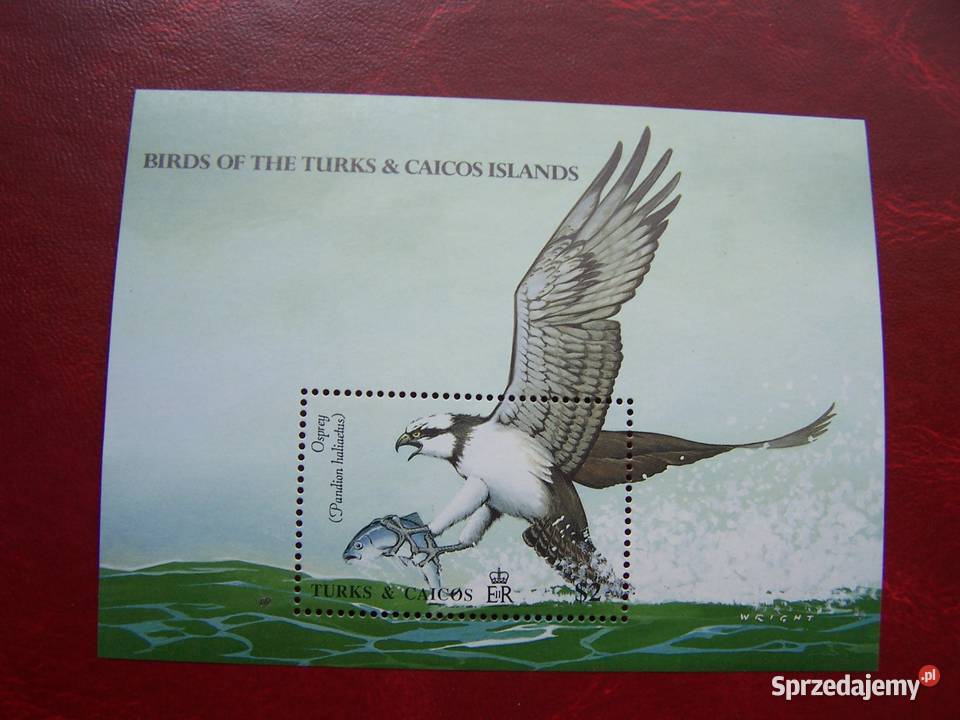 Turks Caicos 1990 MNH Fauna Ptaki śląskie Tychy