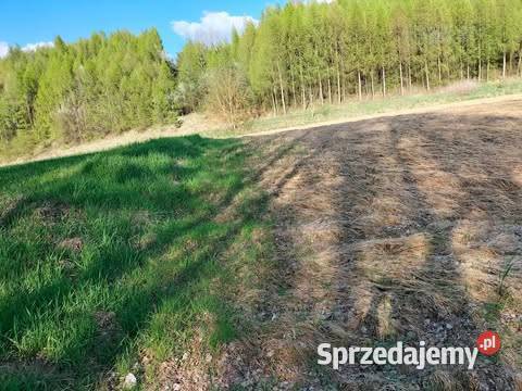 Pole z dojazdem 30ar Kościejów gm Racławice Sprzedaż