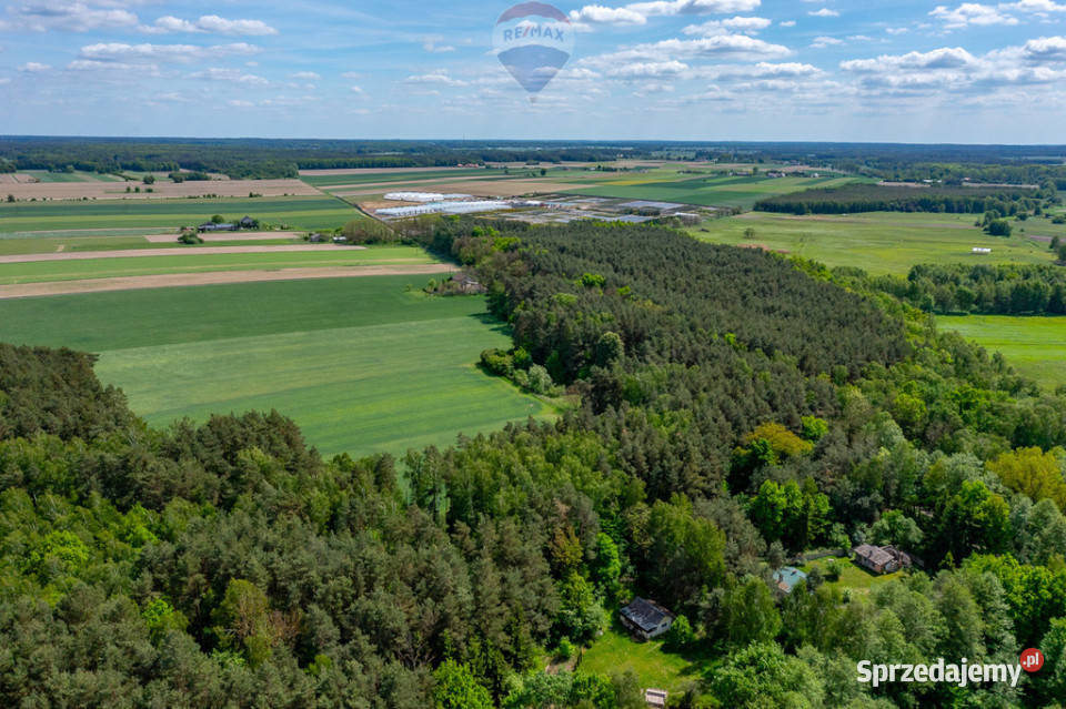 Budowlana 2300 m ze stawem i zielenią Góry Prusinowskie