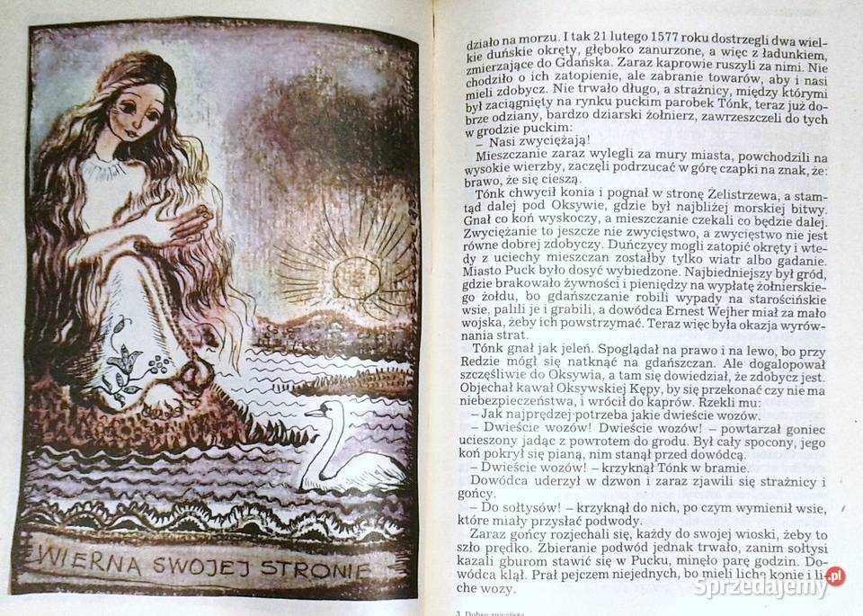 Dobro zwycięża Legendy z Kaszub i Pomorza Józef Rok wydania 1985 lubelskie Chełm