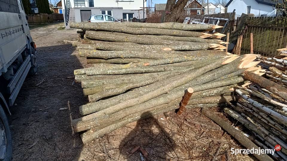 Kołki słupki ogrodzeniowe sosnadąb Grębków