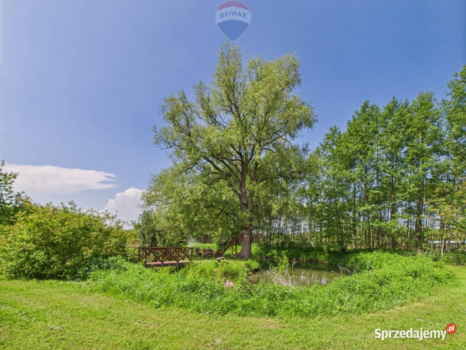 Ranczo w lesie z wyspą stawem basenem stajnią polna Gnojno