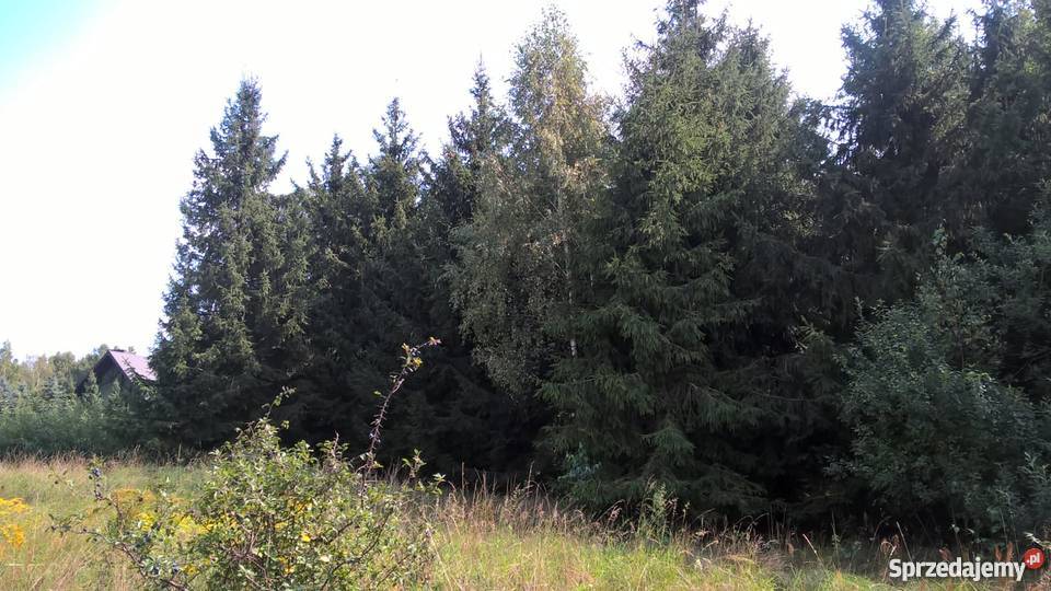 Działka Rolna położona w otulinie Bolimowskiego utwardzona Sokule