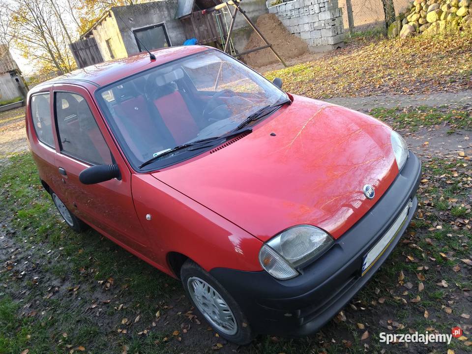 Fiat seicento Chełmno
