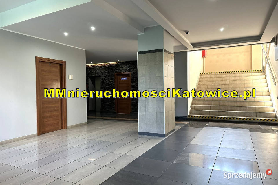 Biura do wynajęcia w Katowicach biurowiec duży